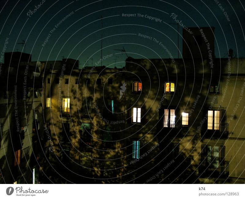 INNENHOF BEI NACHT Nachtschattengewächse Hinterhof Fenster Licht Wohnung Baum Dach Antenne Nachbar Balkon Wäsche Vorhang Haus Gebäude privat Romantik gemütlich