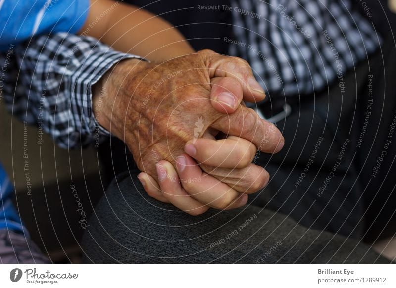 Alt und Jung unzertrennlich Sommer Mensch Kind Junge Männlicher Senior Mann Großeltern Großvater Familie & Verwandtschaft Hand Finger festhalten Liebe