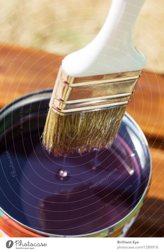 Lass abtropfen Sommer Garten Renovieren Möbel Handwerker Natur nachhaltig Vorsicht geduldig ruhig Senior Schutz Pinsel Farbtopf Wassertropfen tropfend Anstrich