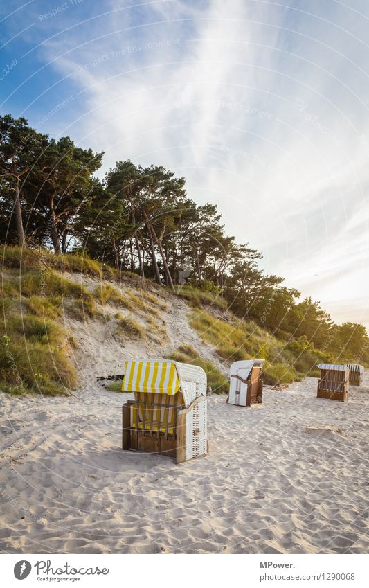 zempin Umwelt Natur Landschaft Sand Wind Tourismus Ferien & Urlaub & Reisen Ostsee Strand Strandkorb Düne Wald Sonnenuntergang Badeort Himmel Wolken