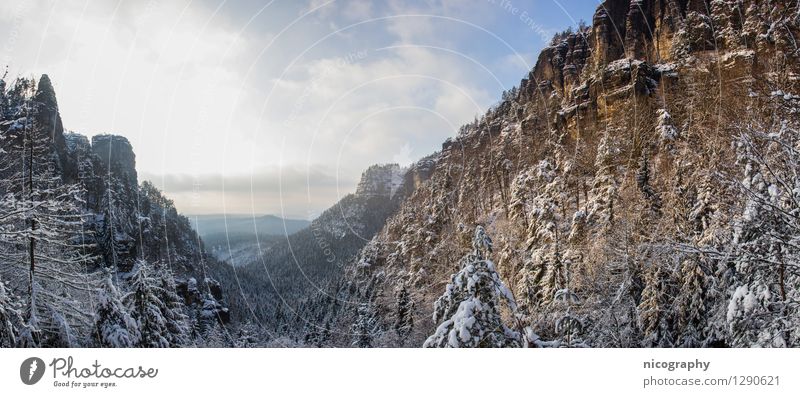 Winterzauber in der Böhmischen Schweiz Umwelt Natur Landschaft Himmel Wolken Sonnenaufgang Sonnenuntergang Klima Schönes Wetter Schnee Baum Wald Hügel Felsen