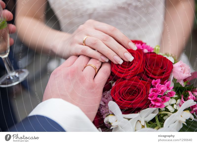 Wedding Alkohol Sekt Prosecco Champagner Glas Sektglas Glück Feste & Feiern Hochzeit Mensch Junge Frau Jugendliche Junger Mann Paar Partner Arme Hand Finger 2