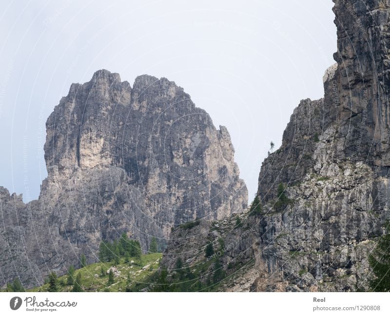 Zackig Klettern Bergsteigen Umwelt Natur Landschaft Urelemente Erde Himmel Wolken Sommer Tanne Felsen Alpen Berge u. Gebirge Dolomiten Südtirol Gipfel karg