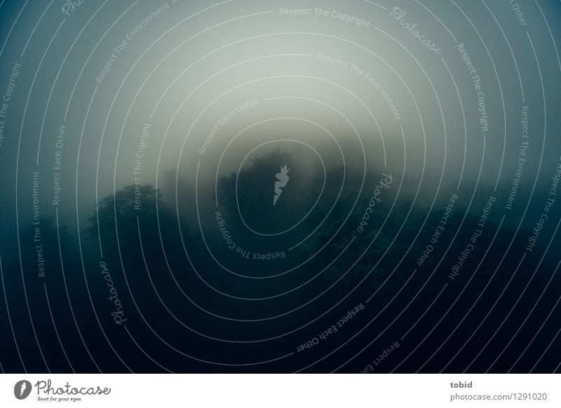 Schietwetter Natur Landschaft Pflanze Wolken Herbst schlechtes Wetter Unwetter Sturm Nebel Baum Wald Hügel Berge u. Gebirge bedrohlich dunkel kalt Einsamkeit