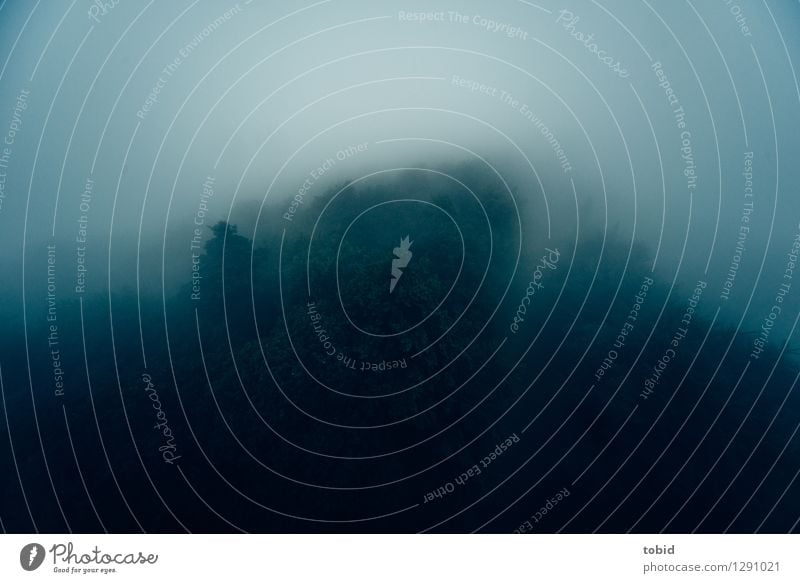 Mistwetter Natur Landschaft Urelemente Wolken schlechtes Wetter Unwetter Nebel Regen Baum Wald Hügel bedrohlich dunkel kalt Gedeckte Farben Außenaufnahme