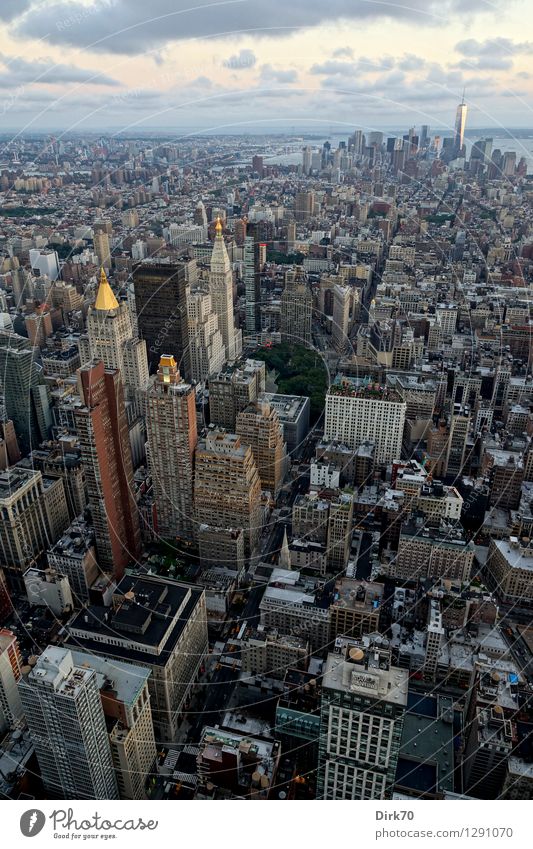 Cutting through Manhattan Ferien & Urlaub & Reisen Tourismus Ferne Sightseeing Städtereise Business Fortschritt Zukunft Wolken Horizont Sommer Schönes Wetter