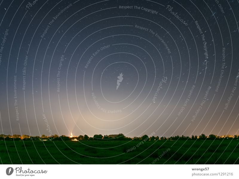 Über Schwaan da funkeln Sterne I Umwelt Landschaft Erde Luft Himmel Nachthimmel Horizont Sommer Schönes Wetter Baum Gras Wiese Deutschland