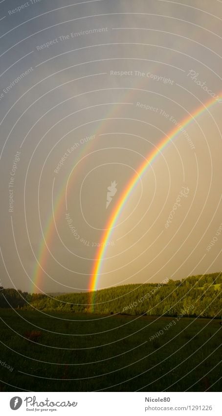 Leuchtreklame am Himmel Gewitterwolken Wetter Glück Regenbogen Doppelbelichtung Lichterscheinung Wiese Wald Vergänglichkeit Goldtopf ästhetisch Natur