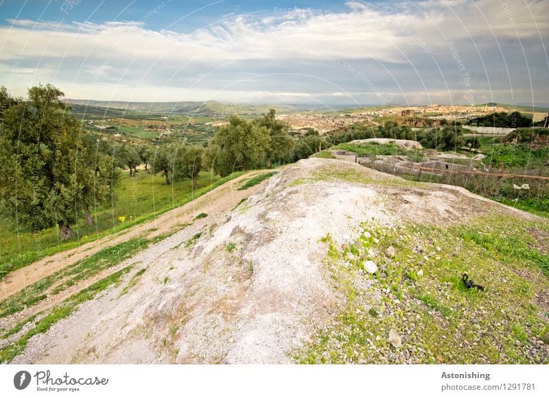 Blick auf Fès Umwelt Natur Landschaft Himmel Wolken Horizont Sommer Wetter Schönes Wetter Pflanze Baum Gras Sträucher Wiese Wald Hügel Felsen Fes Marokko Afrika