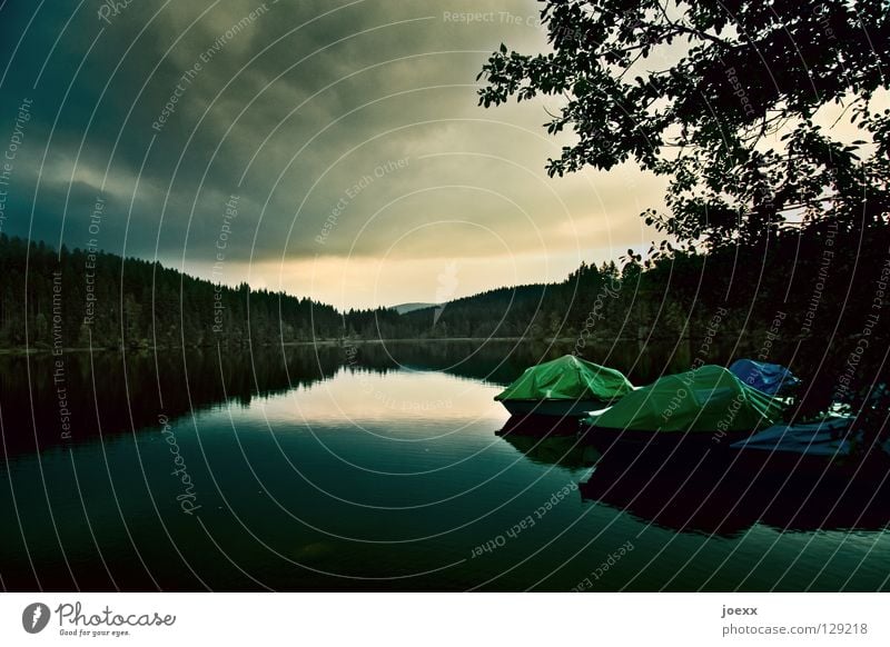 Stille Abdeckung Abend Abenddämmerung Baum bedrohlich Wasserfahrzeug Dämmerung Erholung Farbenspiel Fischerboot grün Herbst Horizont kalt Naturliebe Regenwolken