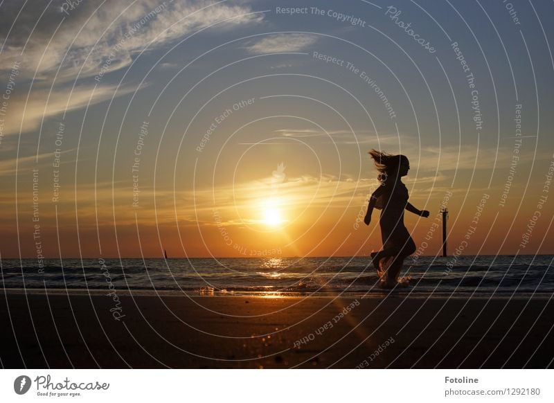 Lebensfreude Mensch feminin Mädchen Junge Frau Jugendliche 1 Umwelt Natur Landschaft Urelemente Erde Sand Wasser Himmel Wolken Sommer Schönes Wetter Küste