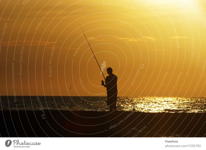 Heut beißen sie nicht! Mensch maskulin Mann Erwachsene Leben 1 Umwelt Natur Urelemente Wasser Himmel Wolken Sommer Schönes Wetter Küste Nordsee Meer maritim