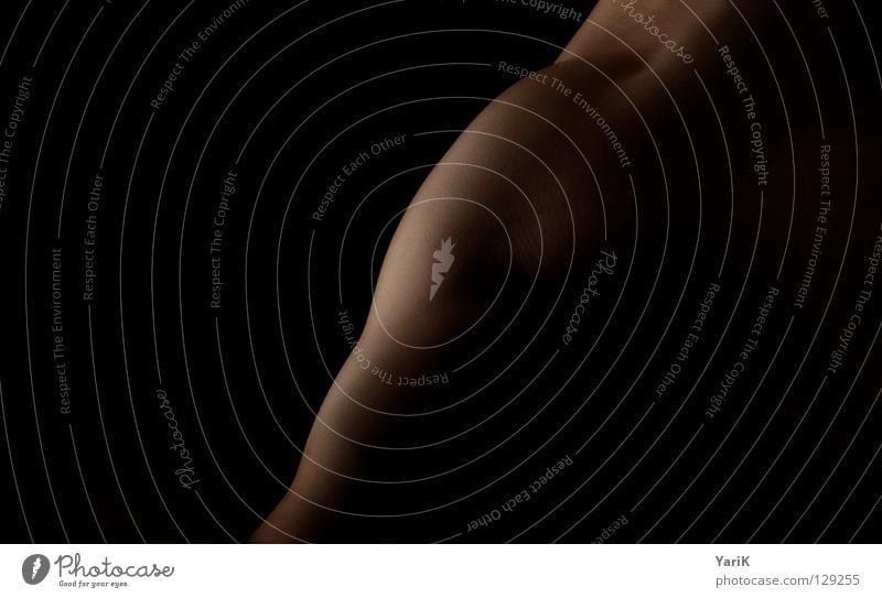 organische kante Mann maskulin schwarz Verlauf braun Licht schön Kraft Silhouette Akt Arme Muskulatur Haut