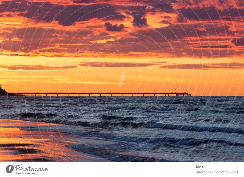 elementar Strand Ostsee maritim Meer Himmel Sonnenuntergang Seebrücke Usedom