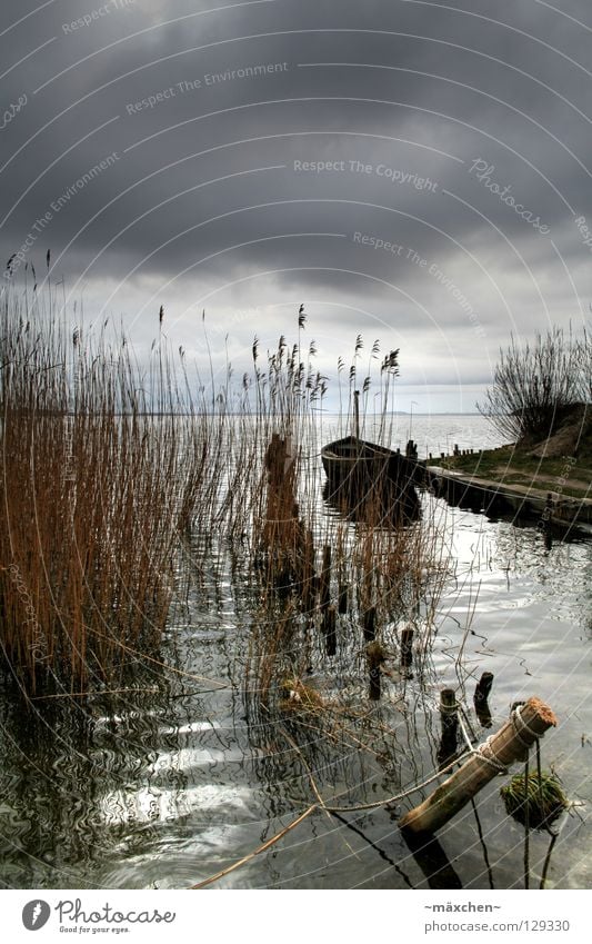 Idylle vor dem Sturm Meer Wasserfahrzeug Steg Wellen Schilfrohr Holz HDR Wolken dunkel Fischerboot Unwetter Gras Einsamkeit ruhig Baumstamm Usedom Schifffahrt