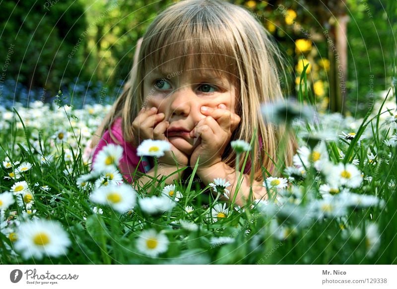 relaxed Denken Gedanke unentschlossen verträumt Zufriedenheit schmollen Wiese Mädchen Kind blond schön Hand Kopfstütze aufstützen Gesichtsausdruck Grimasse