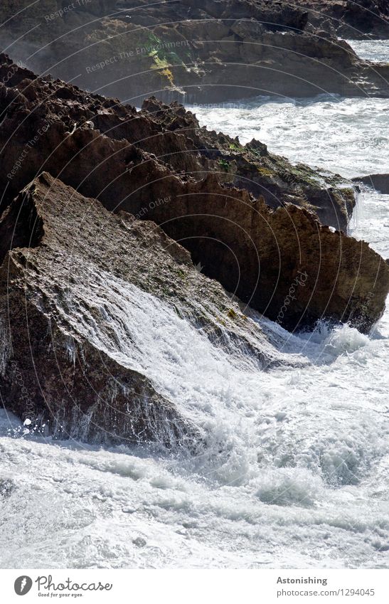 Rückfluss I Umwelt Natur Landschaft Urelemente Wasser Sommer Unwetter Felsen Wellen Küste Bucht Meer Atlantik Rabat Marokko Stein dunkel hell nass braun schwarz