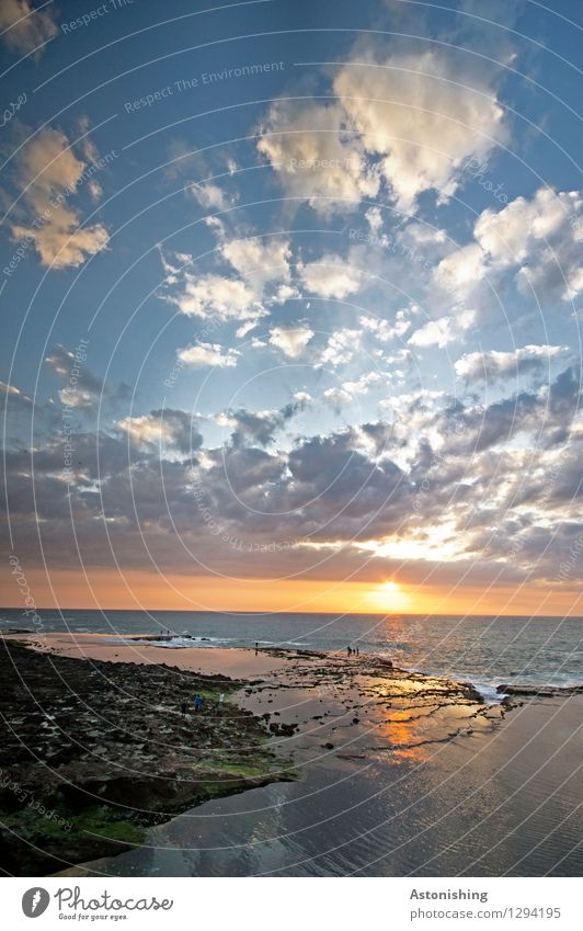 Sonne trifft Meer Umwelt Natur Landschaft Wasser Himmel Wolken Horizont Sonnenaufgang Sonnenuntergang Sonnenlicht Sommer Wetter Schönes Wetter Felsen Atlantik