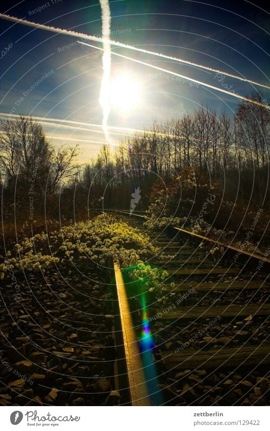 Frühling Gegenlicht Park Wildnis geheimnisvoll Gleise Nebenstrecke Wald Schöneberg Sonnenuntergang Heide Wolken Romantik Urwald Märchen Nadelwald Sträucher