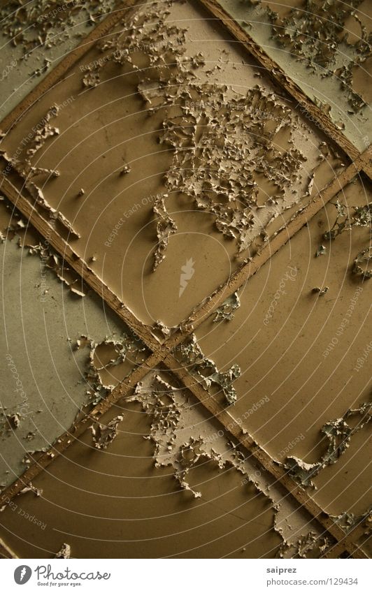 abgeblättert abblättern verfallen Decke Deckenplatten Farbe alt schäbig