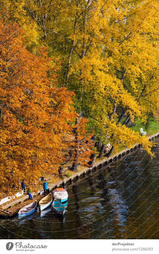 Der Herbst ist da Ferien & Urlaub & Reisen Tourismus Ausflug Abenteuer Freiheit Sightseeing Städtereise Kreuzfahrt Expedition Camping wandern Umwelt Natur