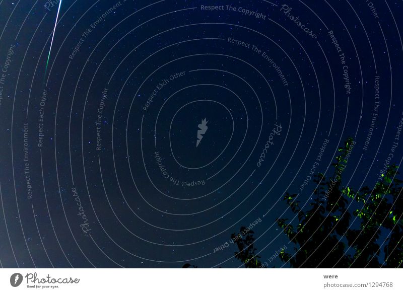 Perseiden? Sind mir schnuppe! Nachtleben Umwelt Natur Himmel Nachthimmel Stern Unendlichkeit Gefühle Glück Vorfreude Hoffnung Glaube Zukunftsangst Unglaube