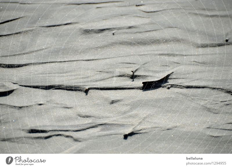 Ein Bisschen zurück Umwelt Natur Landschaft Erde Sand Sonnenlicht Frühling Sommer Herbst Schönes Wetter Wellen Küste Strand Nordsee Meer Insel glänzend Glück