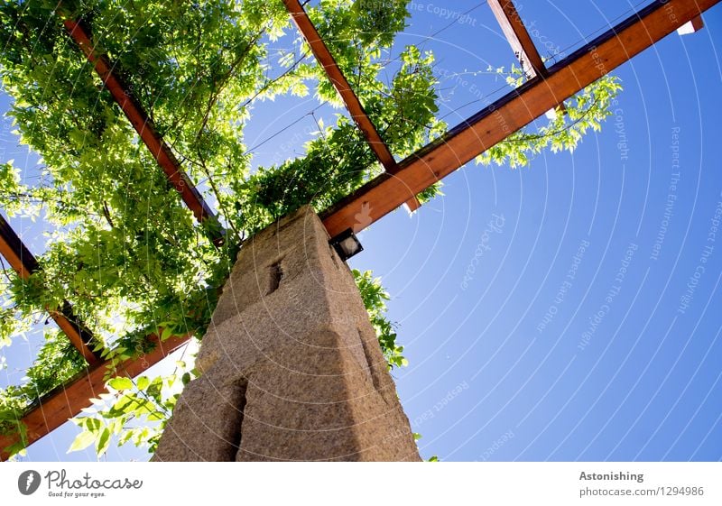 begrünt Umwelt Natur Pflanze Himmel Wolkenloser Himmel Sonne Sonnenlicht Sommer Wetter Schönes Wetter Blatt Allariz Spanien Mauer Wand Dach Säule Stein Holz