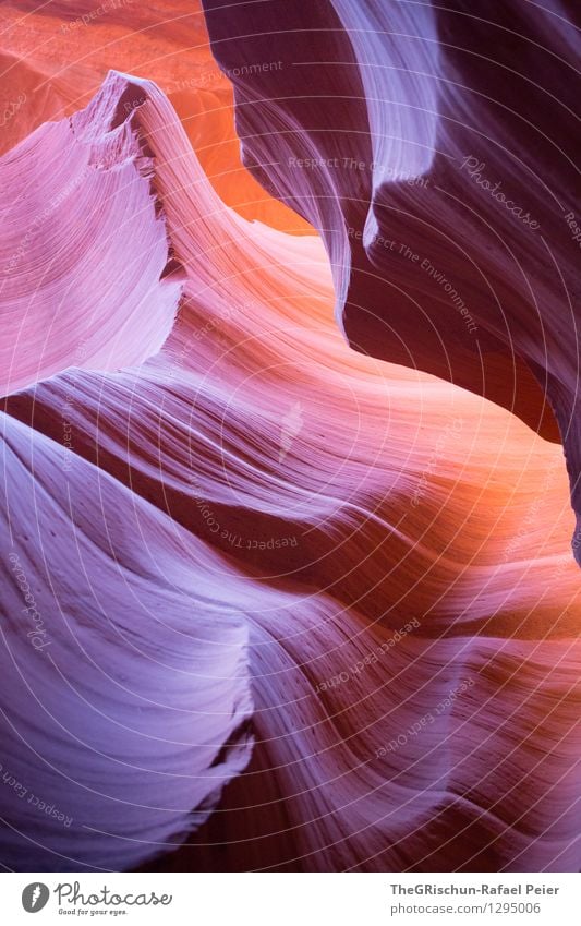 Antelope Umwelt Natur Landschaft Erde Sand blau braun gelb grau violett orange rosa rot schwarz Begeisterung Antelope Canyon USA Reisefotografie genießen