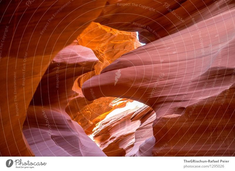 Eagle Umwelt Natur Landschaft Sand braun gelb grau orange schwarz Antelope Canyon USA Reisefotografie reiseziel destination Adler Strukturen & Formen Verlauf