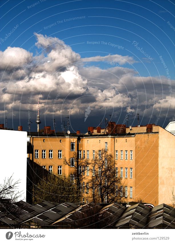 Blick vom Kreuzberg über Kreuzberg Stadt Haus Stadthaus Hinterhof Gewächshaus Baumschule Aussicht Horizont Dach Fenster Fensterfront Wolken Kumulus Berlin