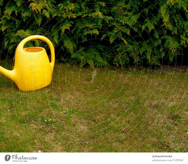 Kann die Kanne...? gelb grün Kannen Gießkanne Gärtner Blume Hecke Gras Frühling Arbeit & Erwerbstätigkeit Gartenarbeit Freizeit & Hobby Tragegriff Griff gießen