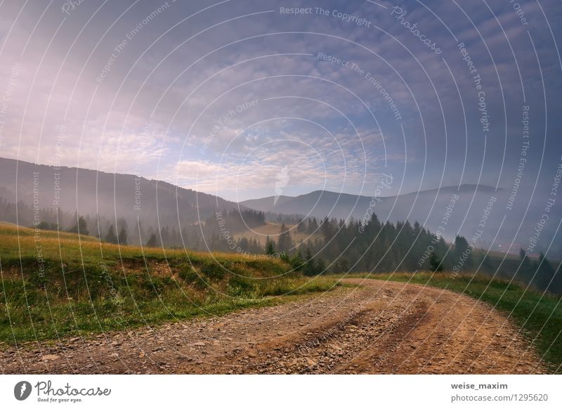 Morgen in Pilipets Natur Landschaft Sand Luft Himmel Wolken Sommer Schönes Wetter Nebel Baum Sträucher Wiese Feld Wald Hügel Dorf Verkehrszeichen Verkehrsschild