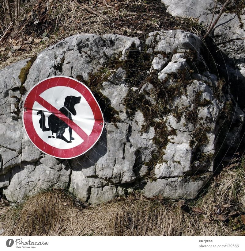 Kackvogel Hund Schilder & Markierungen Verbote Gras Verbotsschild Säugetier Felsen Verbot-schild Zeichen Pentax k100d Kot