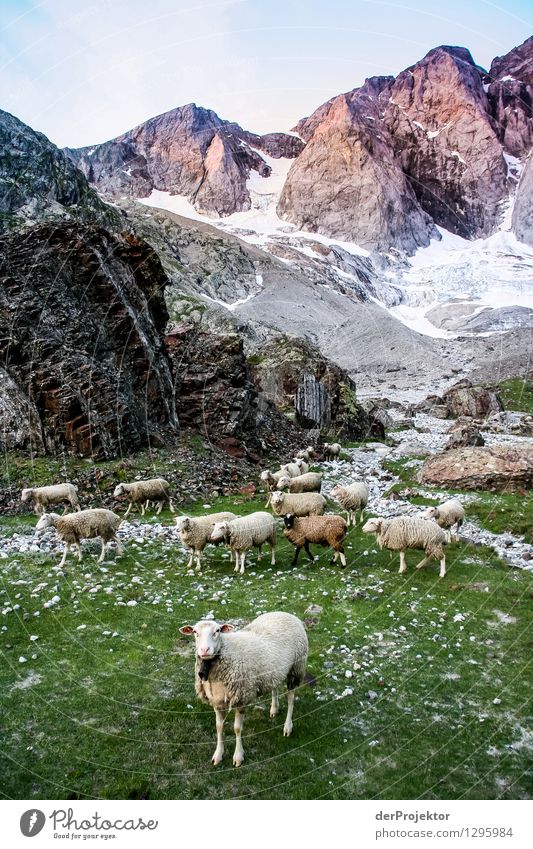 Gestelltes Bild: Pyrenäen-Wanderweg 25 Ferien & Urlaub & Reisen Tourismus Ausflug Abenteuer Ferne Freiheit Berge u. Gebirge wandern Umwelt Natur Landschaft