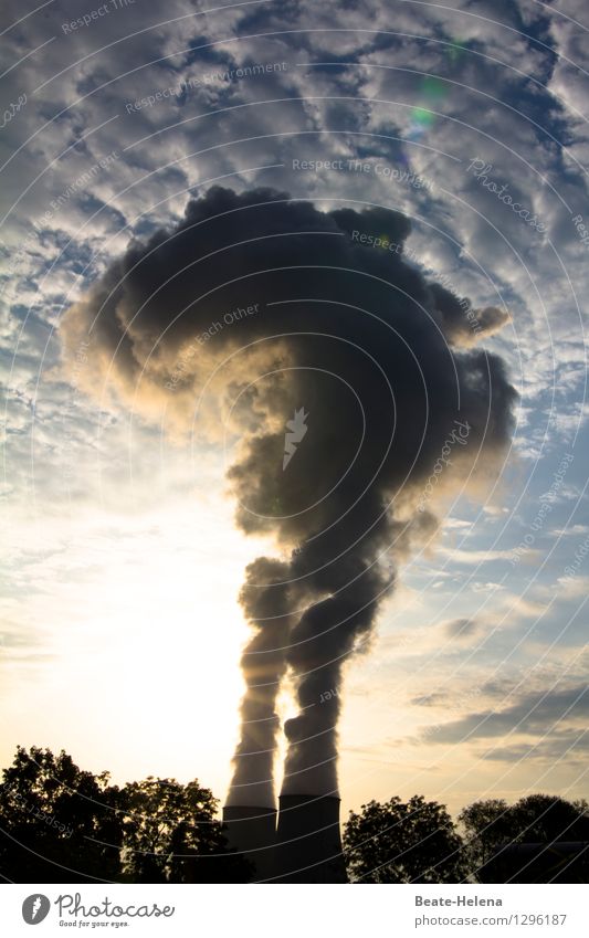 sau(bere) Energie Wirtschaft Energiewirtschaft Kernkraftwerk Landschaft Wolken Sonne Sommer Baum Industrieanlage Turm Bauwerk Arbeit & Erwerbstätigkeit