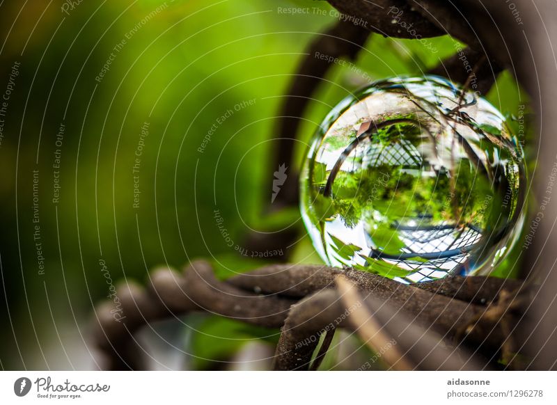 Glaskugel Natur Pflanze Sommer Garten Park Wald Kitsch Krimskrams achtsam Gelassenheit ruhig Farbfoto mehrfarbig Außenaufnahme Menschenleer Tag