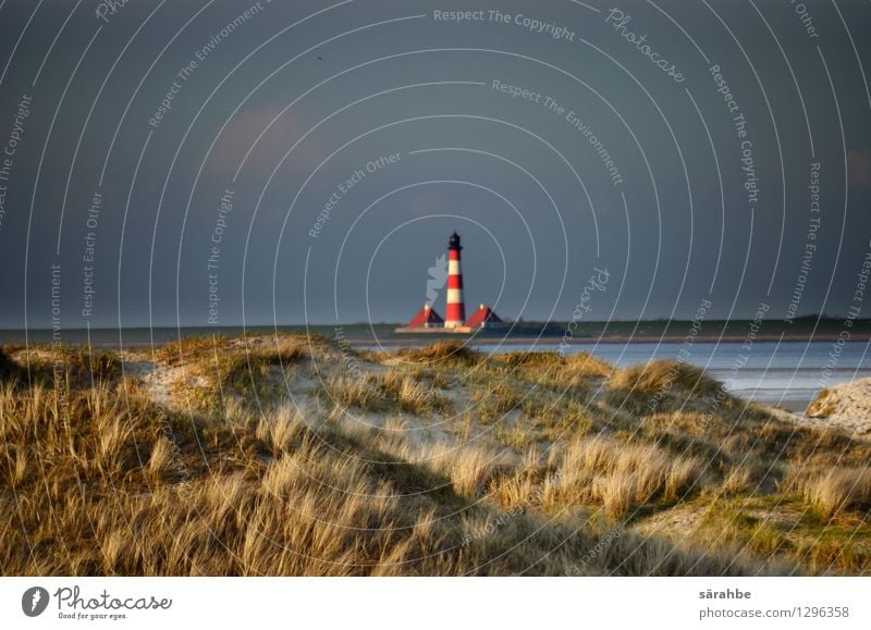 Leuchtturm Landschaft Wasser Himmel Wolken Gewitterwolken Horizont Herbst schlechtes Wetter Wind Sturm Regen Gras Sträucher Küste Strand Nordsee St Peter Ording