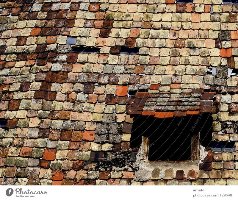 Dachkandl Dachziegel Mansarde Bauernhof Scheune Altbau rot braun schwarz Farbe