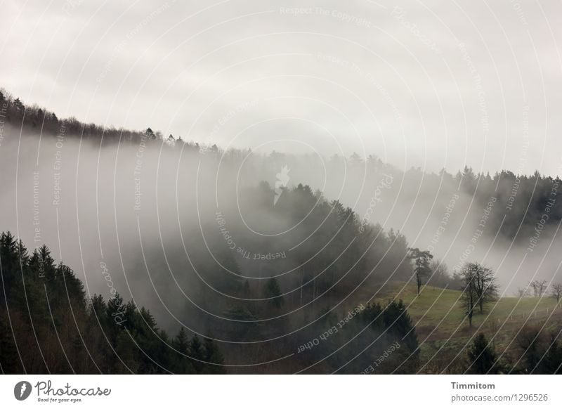 Wellentäler. Umwelt Natur Landschaft Pflanze Wolken Frühling schlechtes Wetter Nebel Wald Hügel Zaunpfahl dunkel natürlich grau grün schwarz Gefühle Tal