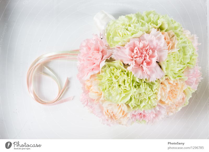 SommerinBlumen Pflanze Blüte einfach hell schön weich mehrfarbig grün orange rosa weiß Stil Blumenstrauß Hochzeit Stillleben Farbfoto Studioaufnahme