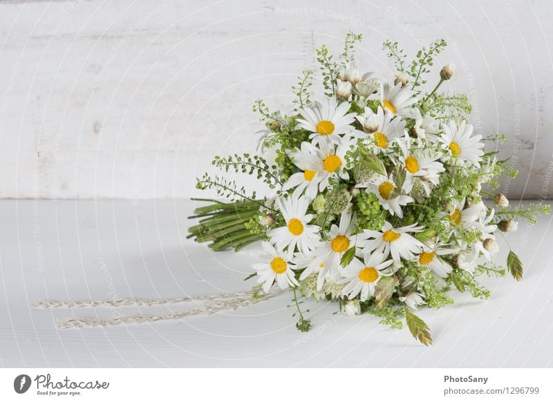 Wildblumen-Strauss II Blume Blüte hell schön natürlich gelb grün weiß Blumenstrauß Margerite Hochzeit altehrwürdig Farbfoto Innenaufnahme Textfreiraum links