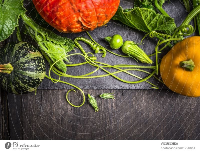 Bunte Kürbisse auf dunklem Holztisch Lebensmittel Gemüse Ernährung Bioprodukte Vegetarische Ernährung Diät Stil Design Gesunde Ernährung Haus Garten