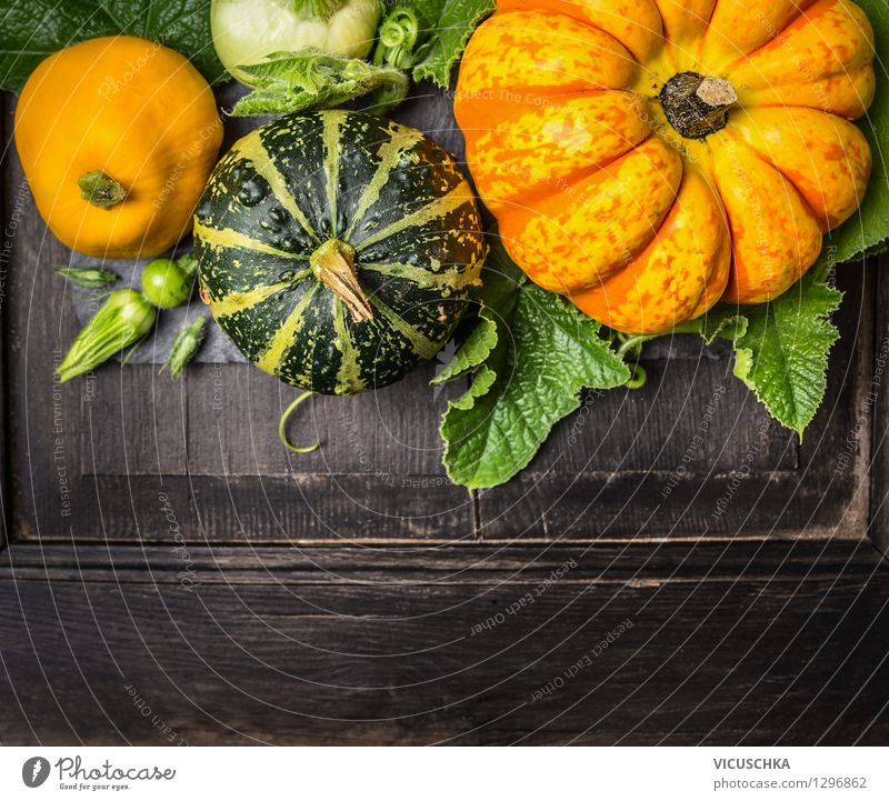 Kürbis Ernte auf dunklem Holztisch Lebensmittel Gemüse Ernährung Festessen Bioprodukte Vegetarische Ernährung Diät Stil Design Gesunde Ernährung Sommer Garten