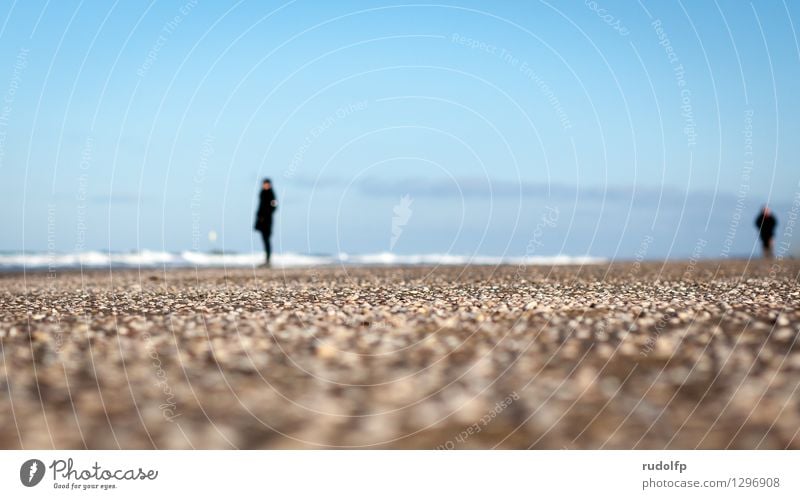 Strandaussichten Ferien & Urlaub & Reisen Freiheit Wellen Winter Mensch 2 Natur Landschaft Sand Wasser Himmel Wetter Schönes Wetter Küste Nordsee Bekleidung