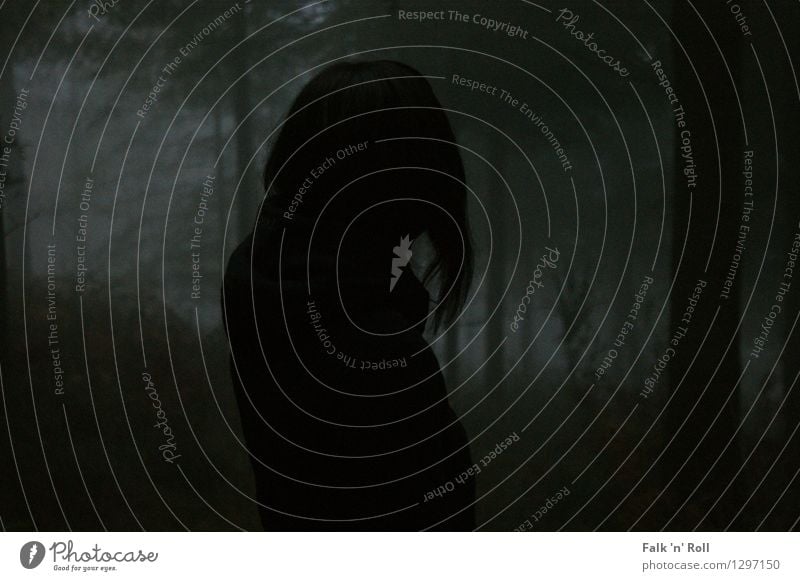 Black Beauty feminin androgyn Frau Erwachsene 1 Mensch 30-45 Jahre schlechtes Wetter Nebel Regen Wald Hügel Moor Sumpf schwarzhaarig beobachten bedrohlich