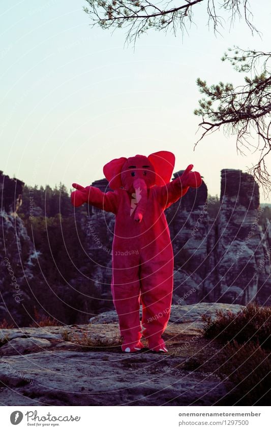 WÄHLT MICH! Kunst Kunstwerk Abenteuer ästhetisch Elefant Optimist Politiker Wahlen rosa Ohr Karnevalskostüm verkleidet Felsen Sächsische Schweiz weich Freude