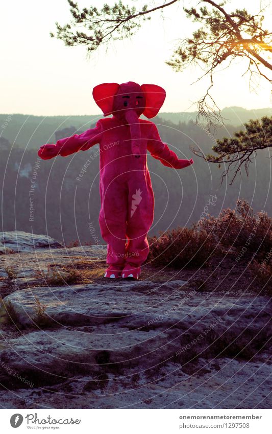 Dancing Queen Kunst Kunstwerk ästhetisch Elefant rosa fliegen Tanzen Ohr Karnevalskostüm Sächsische Schweiz Felsen Wasser Freude Tanzveranstaltung verkleiden