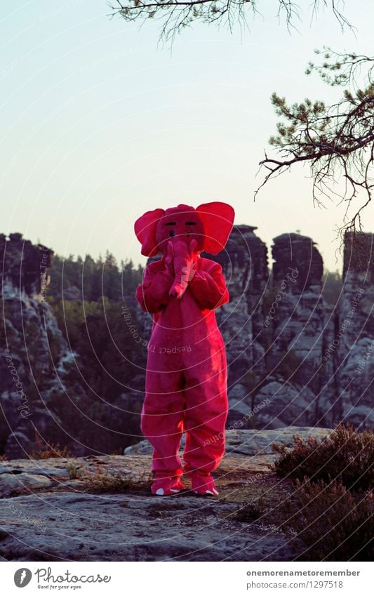 Ich sag nix... Kunst Kunstwerk ästhetisch schweigen sprechen Verbote erschrecken Felsen Freude spaßig Spaßvogel Spaßgesellschaft Karnevalskostüm Eyecatcher rosa