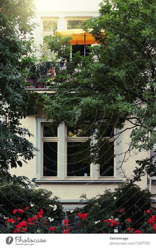 Platz an der Sonne Lifestyle Wellness Häusliches Leben Wohnung Haus Traumhaus Garten Erholung Sonnenplatz Sonnenschirm gelb Baum Schatten Fenster Balkon